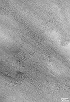Southern Hemisphere Polygonal Patterned Ground