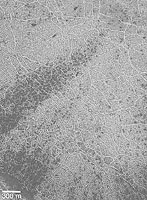 Southern Hemisphere Polygonal Patterned Ground
